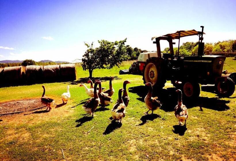 پانسیون Il Conte Di Montechiaro Rural B&b