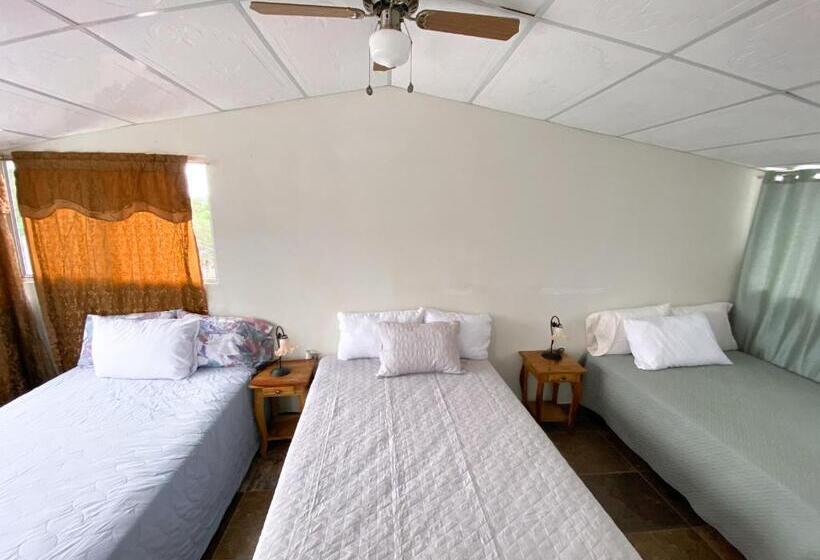 پانسیون Maria Iii Hostal