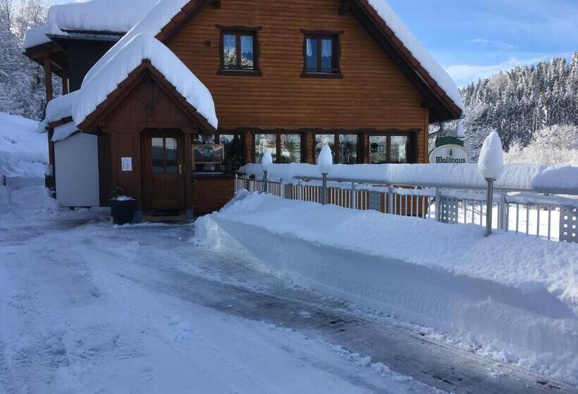 بنسيون Vogelbacher Hof   Dachsberg Im Südschwarzwald