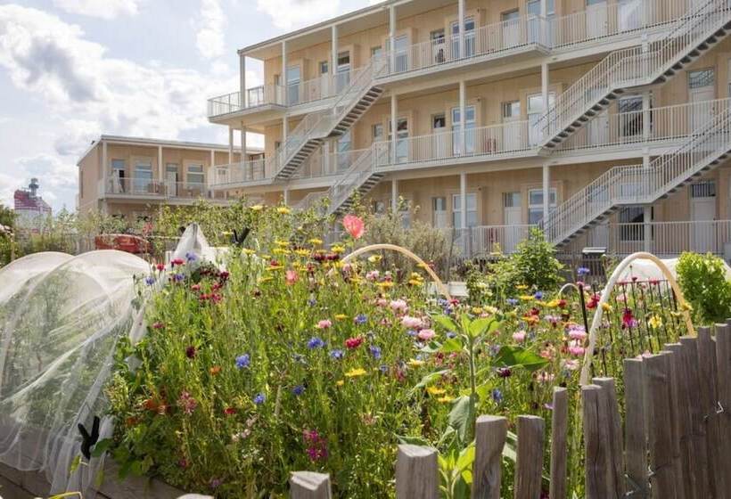 Waterfront Cabins