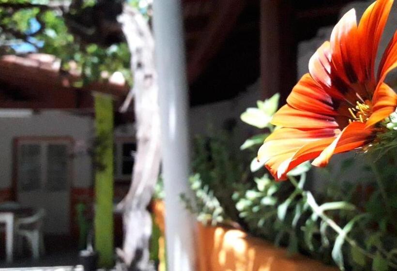 هاستل Hospedaje Don Alberto