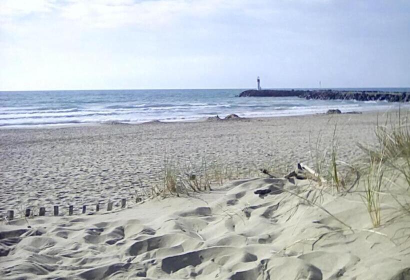 تختخواب و صبحانه Chambre La Palmeraie Village Naturiste