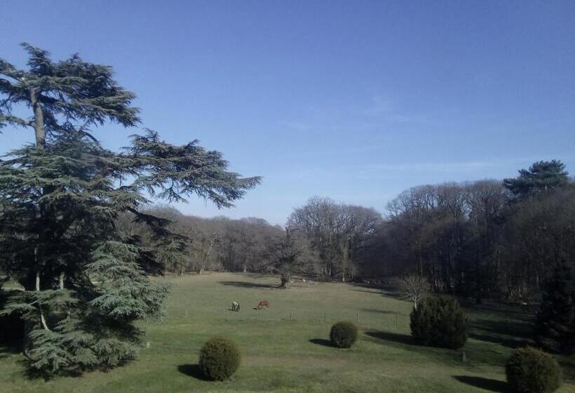 민박 Chateau Du Guérinet D Orchaise