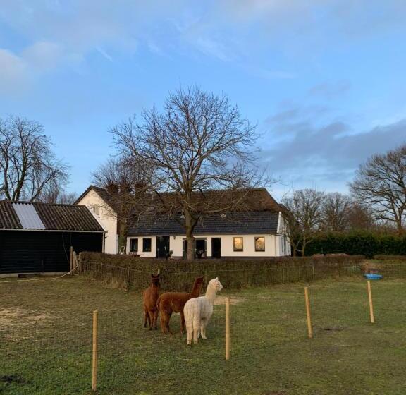 تختخواب و صبحانه Hoeve Zandbelt