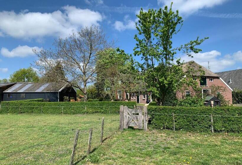 تختخواب و صبحانه Hoeve Zandbelt