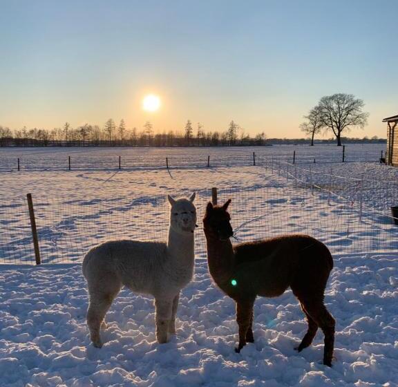 تختخواب و صبحانه Hoeve Zandbelt