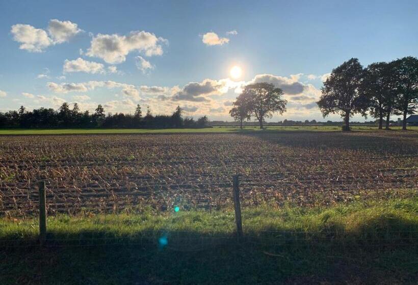 تختخواب و صبحانه Hoeve Zandbelt