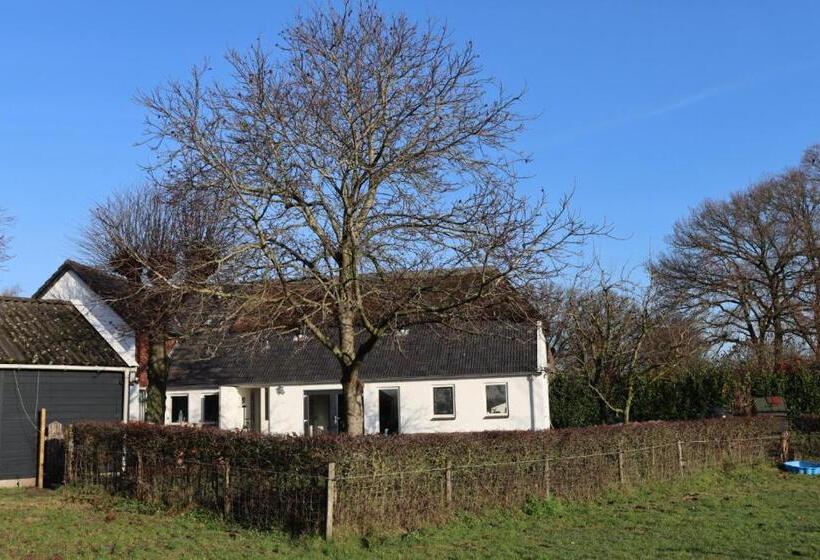 تختخواب و صبحانه Hoeve Zandbelt