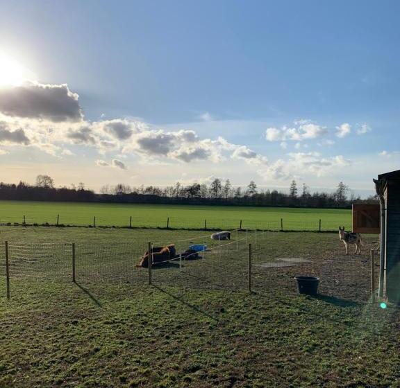 تختخواب و صبحانه Hoeve Zandbelt
