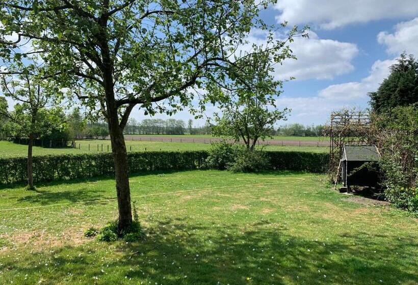 تختخواب و صبحانه Hoeve Zandbelt