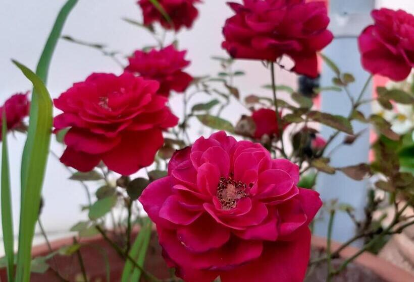 住宿加早餐  Le Chaubier