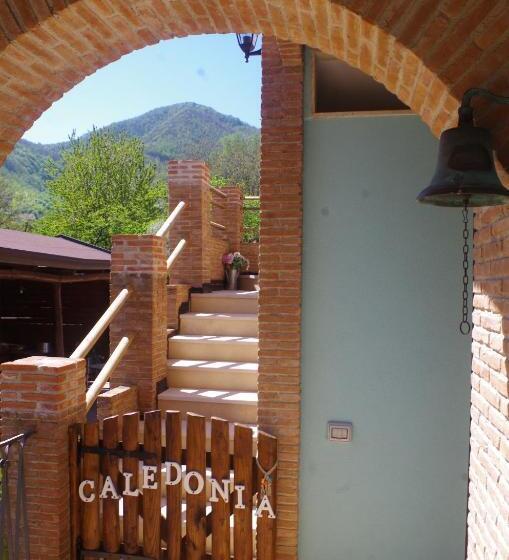 Caledonia B&b