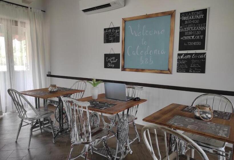 Caledonia B&b
