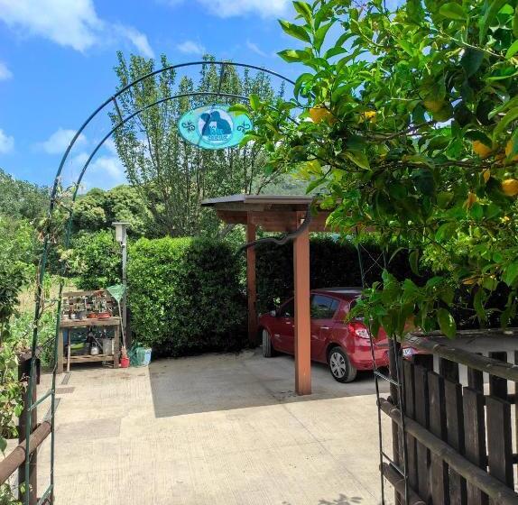 Caledonia B&b