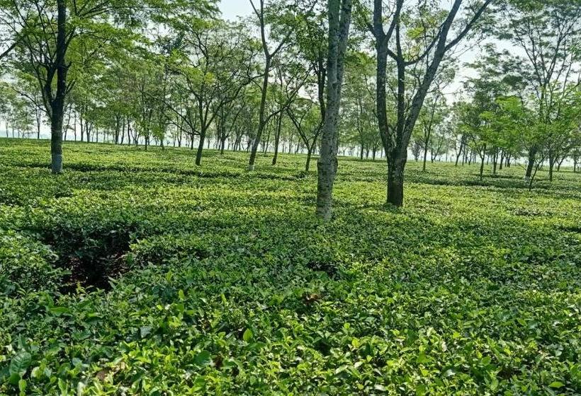 בית מלון כפרי Viswamurti Resorts