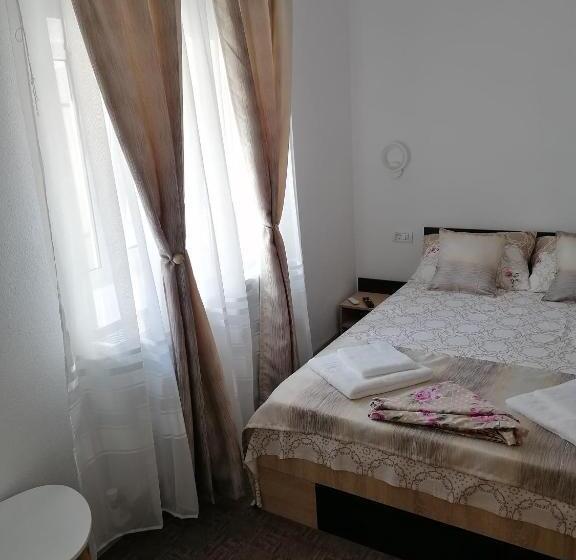 פנסיון Apartament ștefi