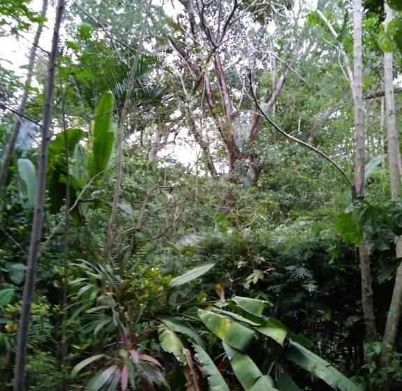 بنسيون Hospedaje El Bosquecito
