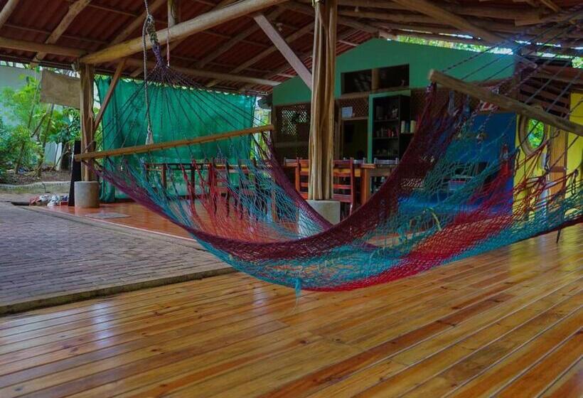 بنسيون Hospedaje El Bosquecito