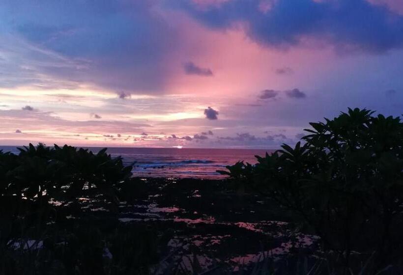 بنسيون Oceanfront Gem At La Joya De Lagarto