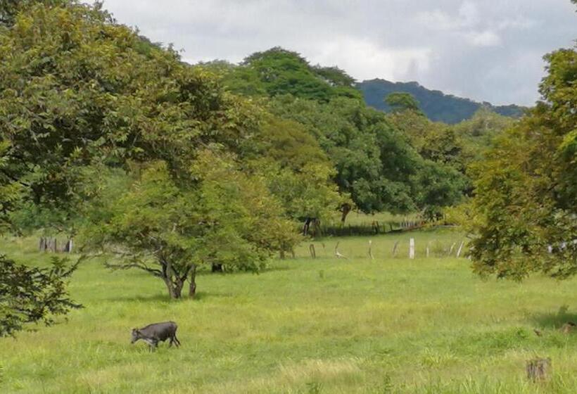 بنسيون Oceanfront Gem At La Joya De Lagarto