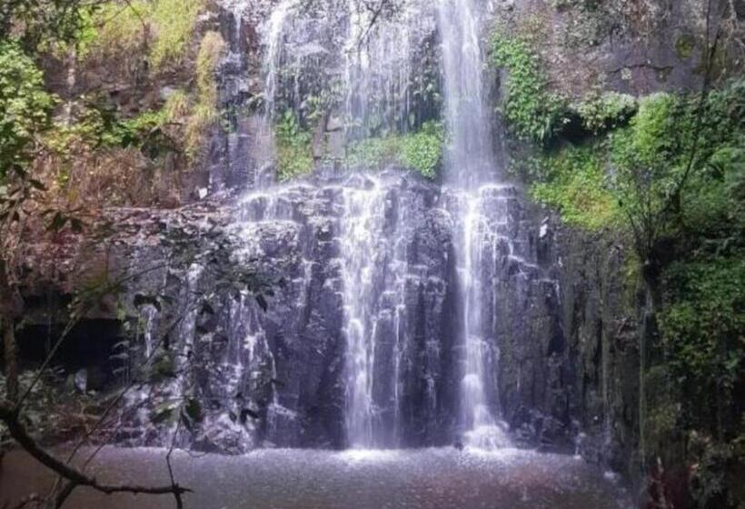 渡假胜地  Blue Zone Leisure At Mount Sheba