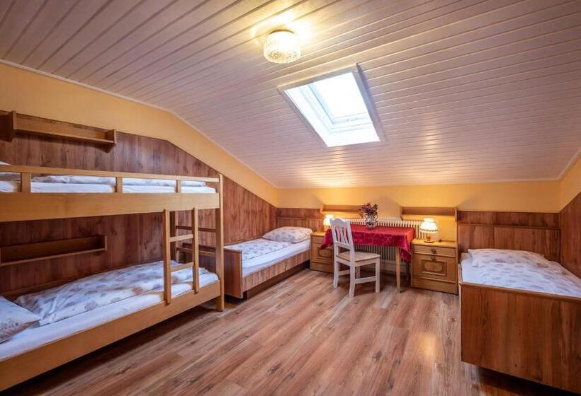 Общежитие Berghütte Burgweghof Jugendgästehaus