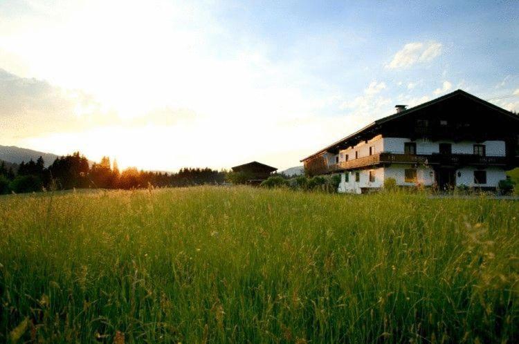 Общежитие Berghütte Burgweghof Jugendgästehaus