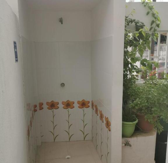 هاستل Bull Shark