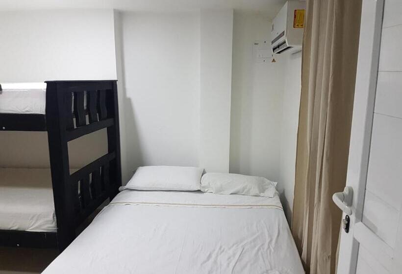 هاستل Bull Shark