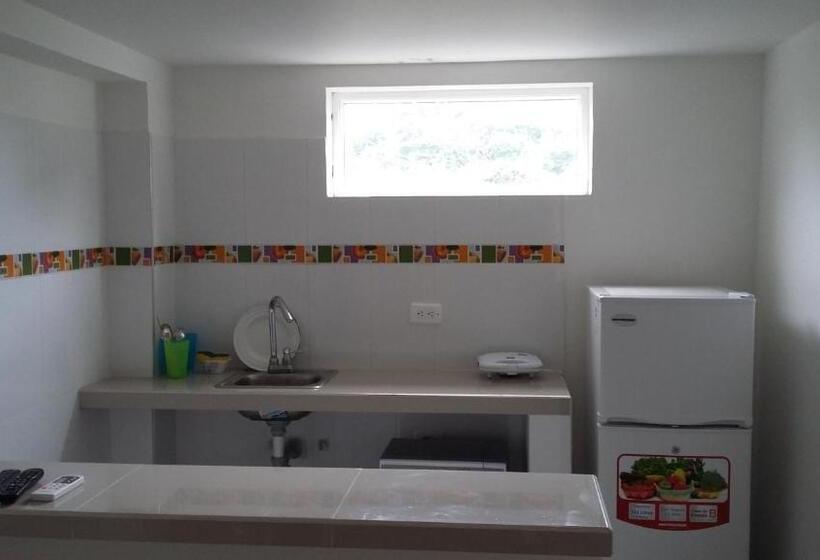 هاستل Bull Shark