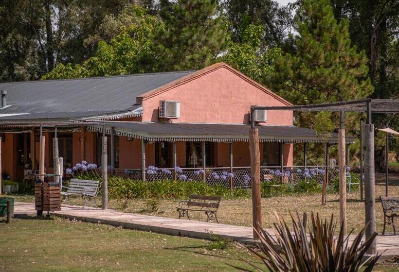 הוסטל Pampas Del Sur Hotel Y Spa De Campo