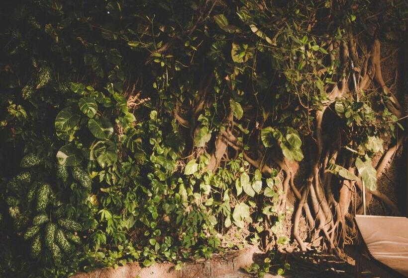 منتجع Anahata Retreat Ashvem Goa