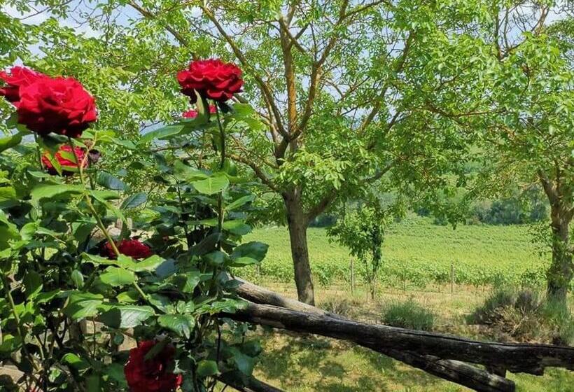 مبيت وإفطار Cascina Valtignosa Camere Con Vigna