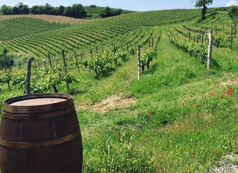 مبيت وإفطار Cascina Valtignosa Camere Con Vigna
