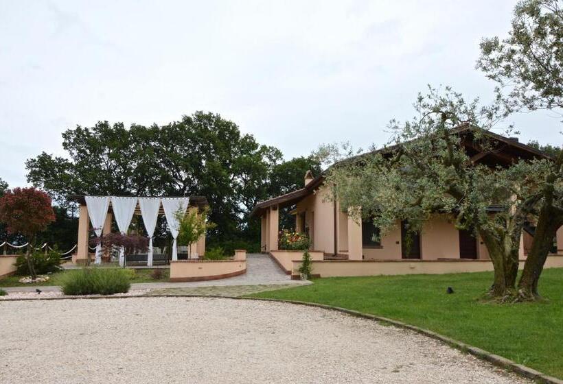 ベッドアンドブレックファースト La Collina Di Montecchio