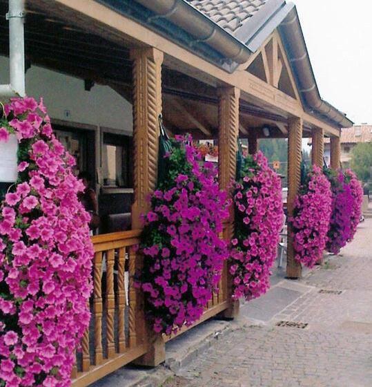 فندق Albergo Montecroce