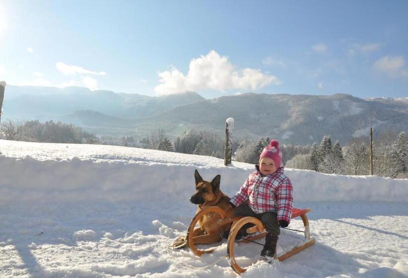 هتل Bauernhof Haim Schnepfleitner