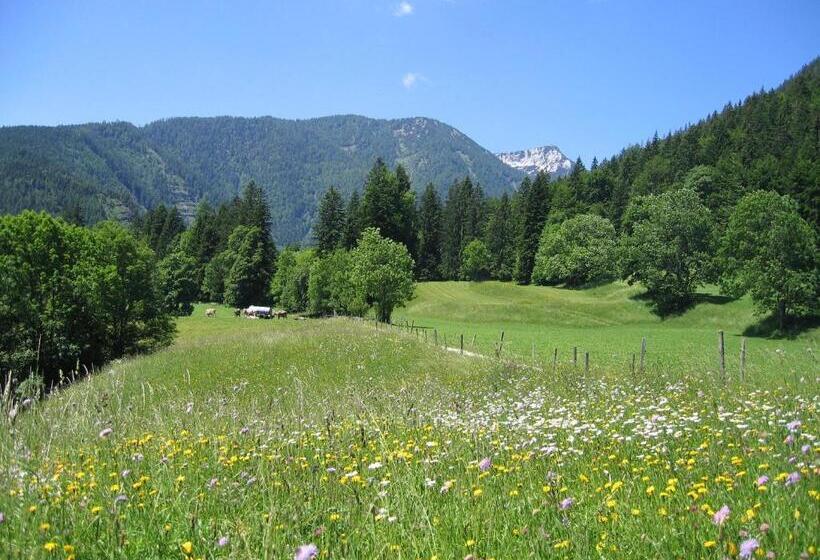 هتل Bauernhof Haim Schnepfleitner