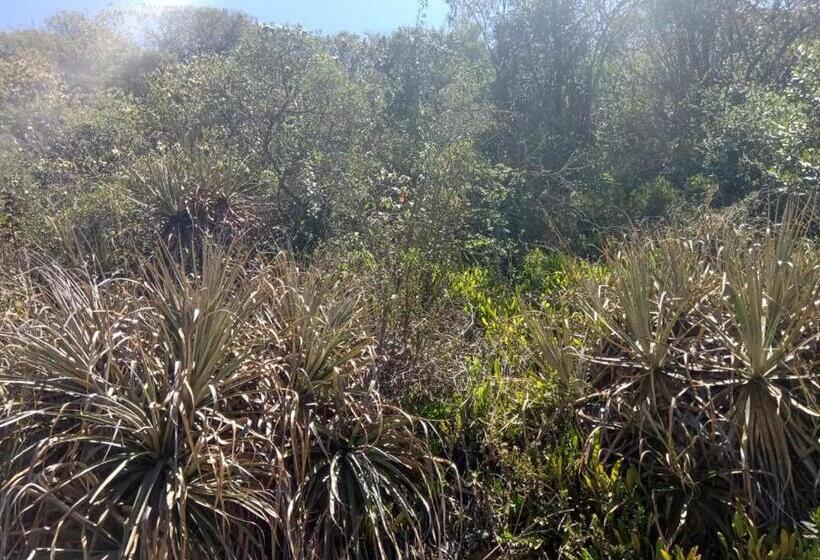 Отель Campestre Los Duraznos