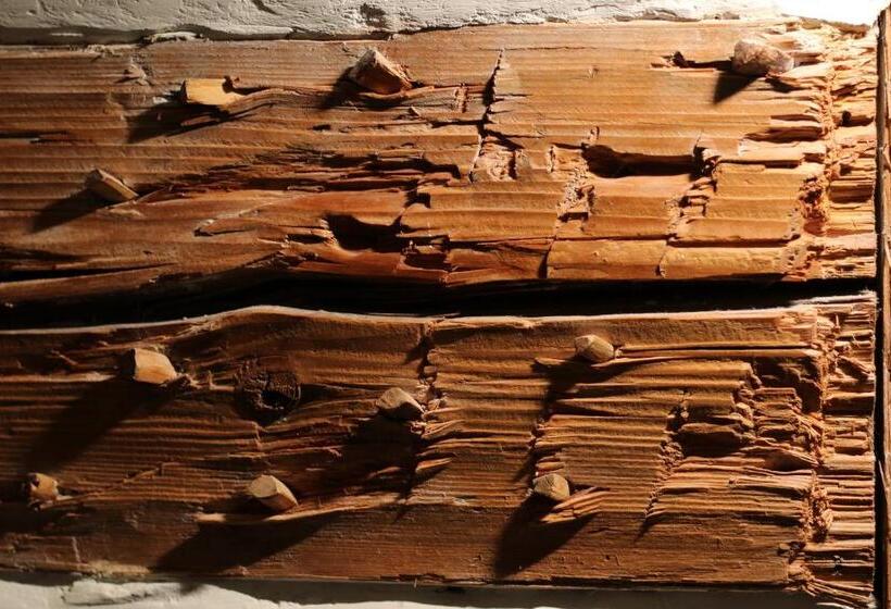 בית מלון כפרי Le Lion   Self Check In