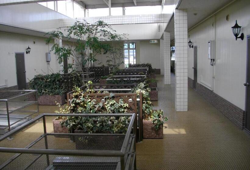 هتل Taiheiyo