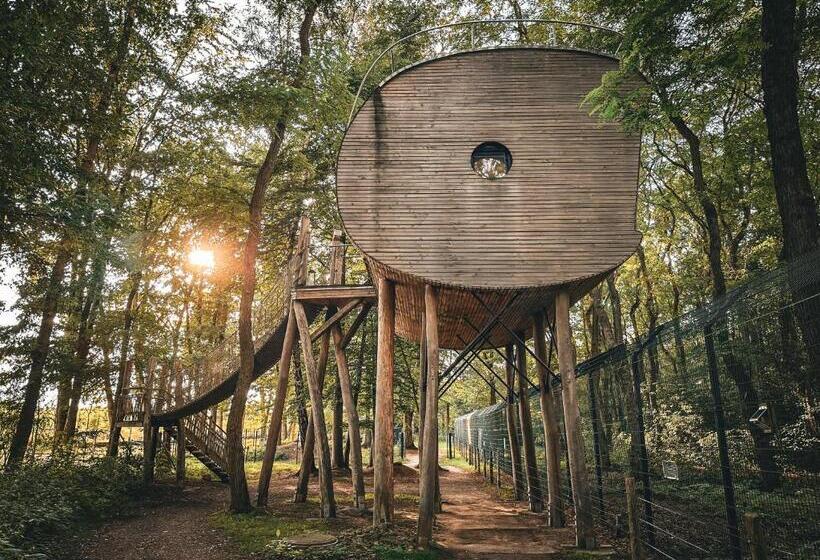 בית מלון כפרי Tree Inn   Das Baumhaus