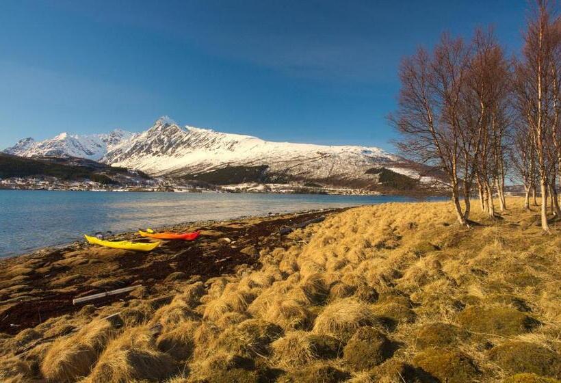 膳宿费 Solhov, Castle Of The Lyngen Alps