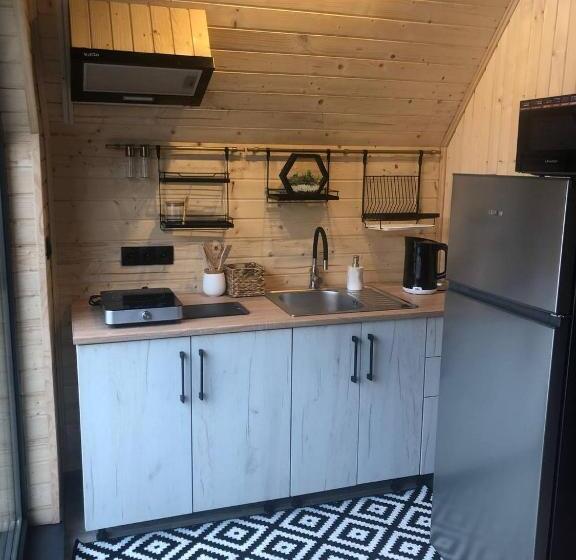 ペンション Zustrizh U Leva