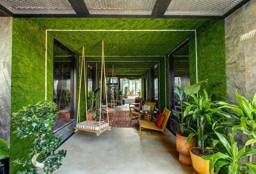 Apartment From Batumi