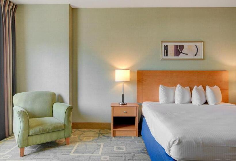 Luxury 1bd/1bth Suite At Platinum Hotel Strip View