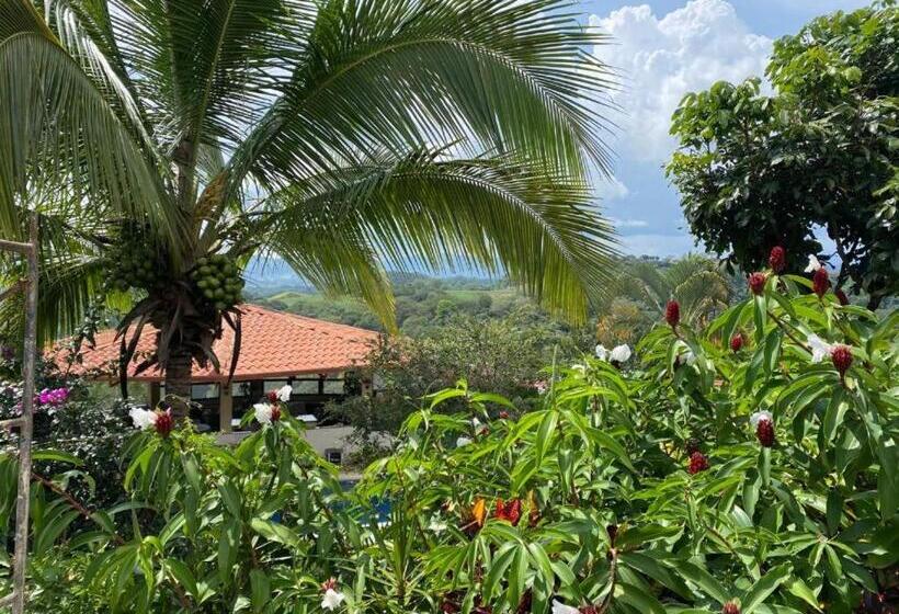ペンション Villa Garita Inn