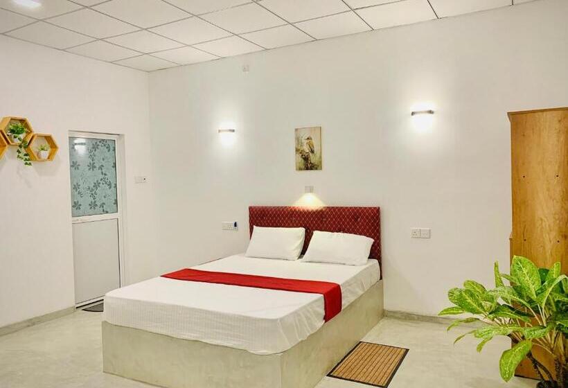 ホテル Coastal Dreams