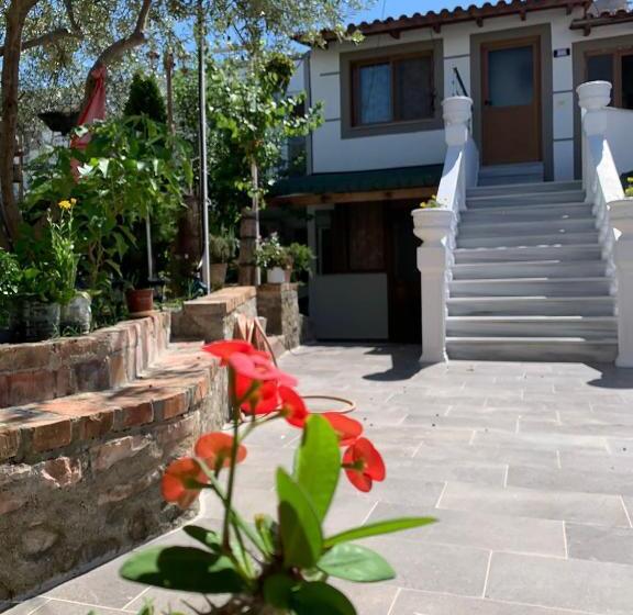 پانسیون Oxhaku Guest House