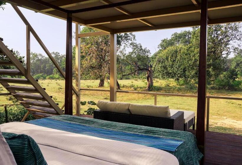 渡假胜地  Bagh Tola, Bandhavgarh Tiger Reserve